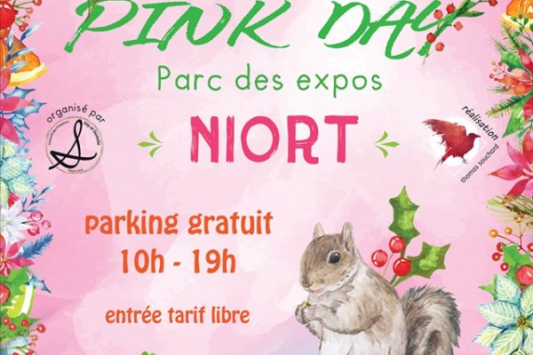 La Pink Day sur Niort